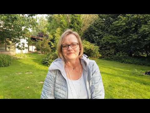 Berufsorientierung mit VIAMEE